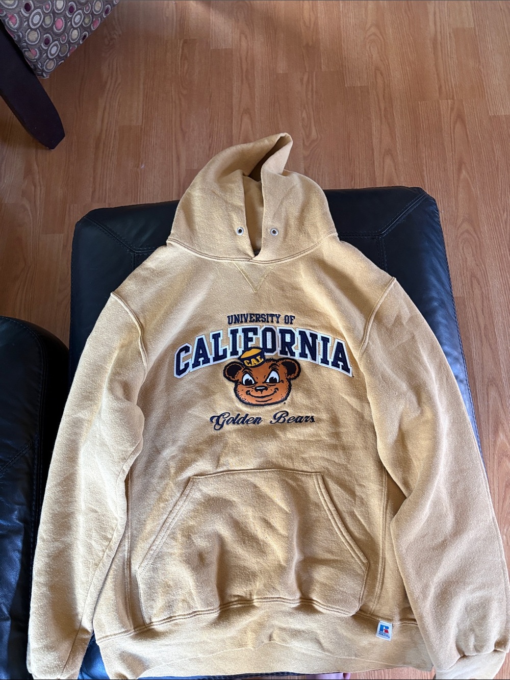 Russell Athletic Golden Bears Hooded Sweatshirt - Gold